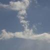 00188-2.jpg