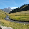 20160819_095333.jpg