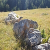 20160821_155112.jpg