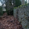 DSC00538.JPG