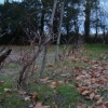 DSC00540.JPG