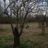 DSC00541.JPG