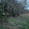 DSC00542.JPG