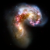 antennae_galaxies.jpg