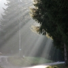 rayons1.jpg