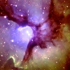 trifid_lr.jpg