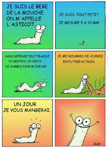 asticot