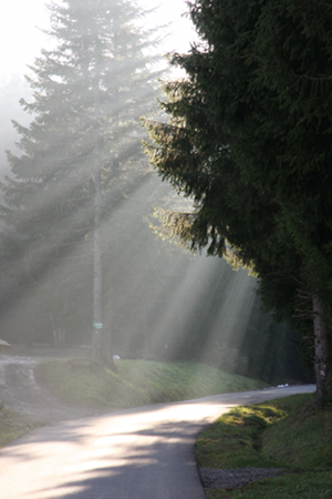 rayons de soleil