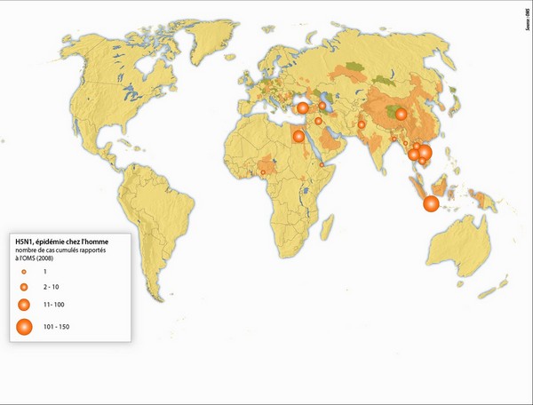 Le virus H5N1 chez l'homme